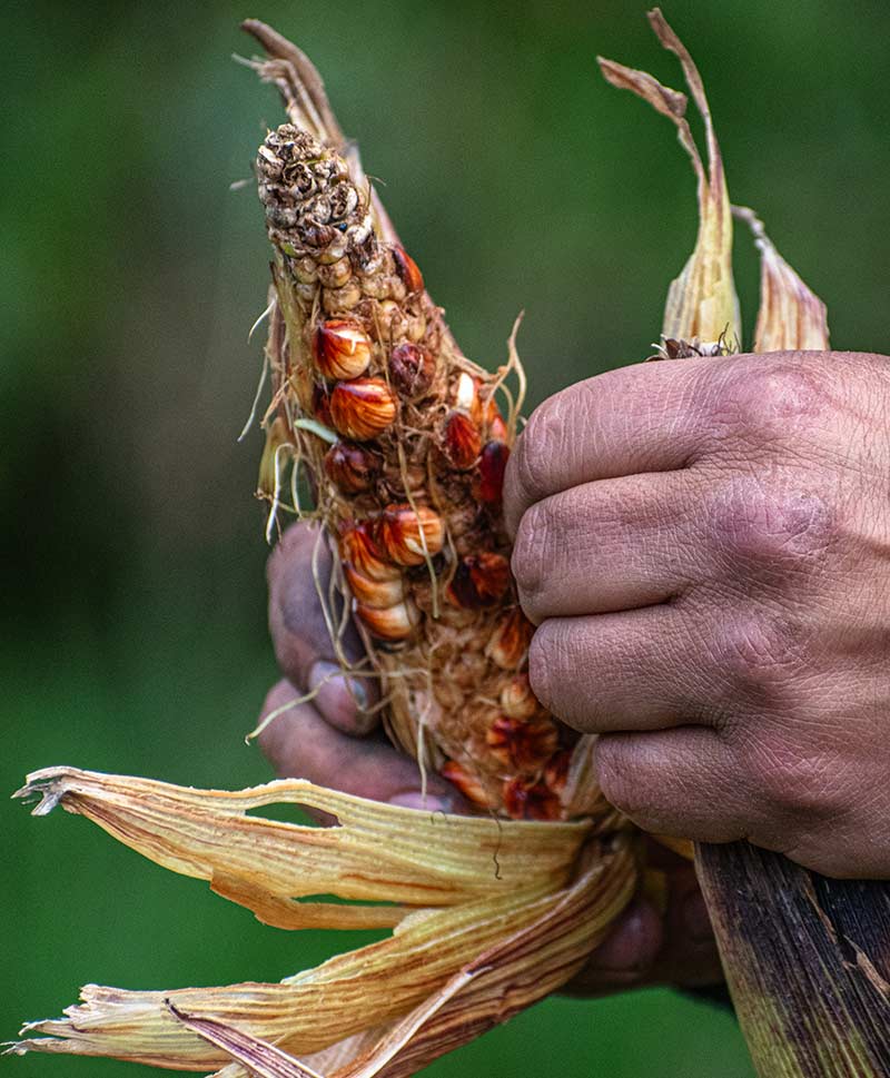 Colombia Puente de Piedra de Rumichaca
