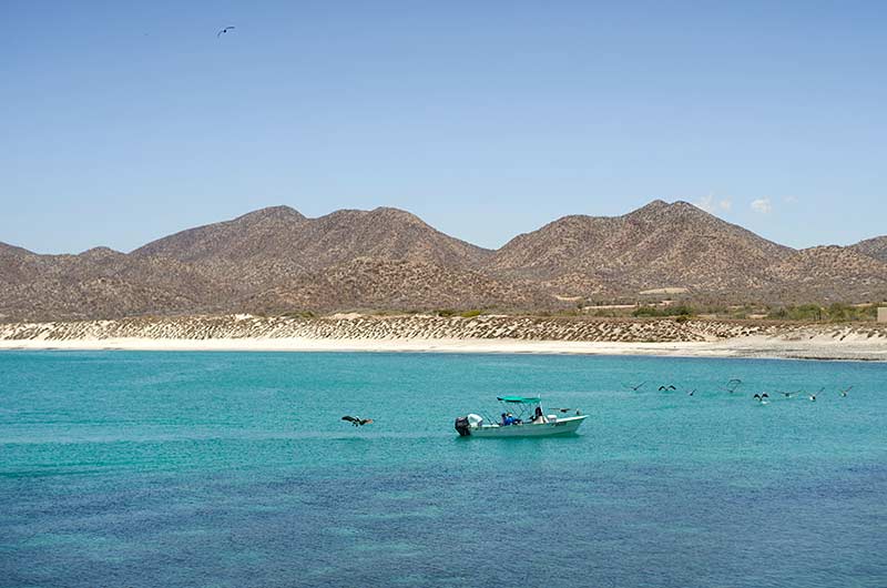 Agua Amarga Baja California