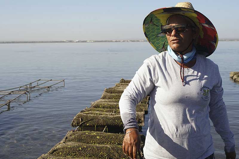 Las Guardianas del Conchalito