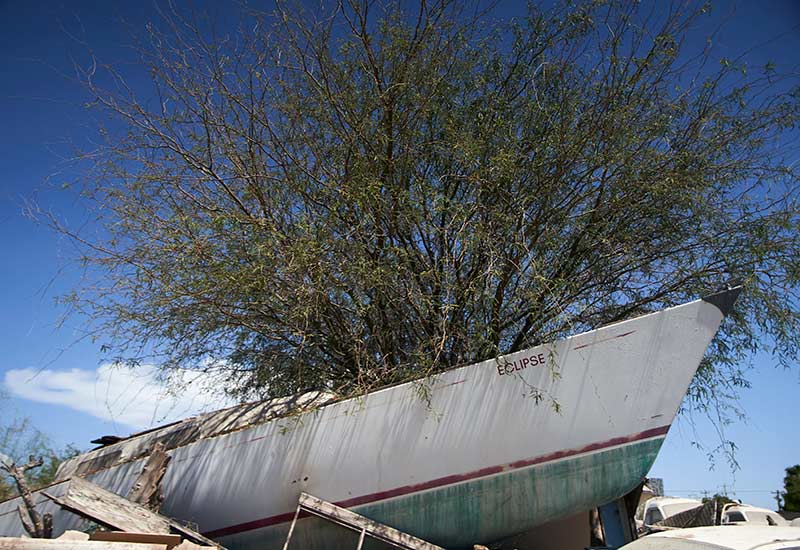 El Manglito, Ensenada