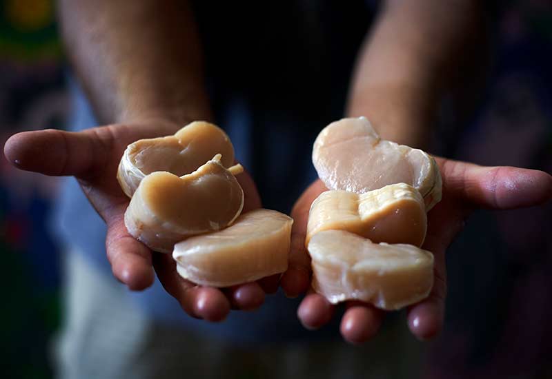 El Manglito, Ensenada