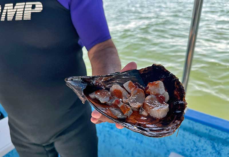 El Manglito, Ensenada