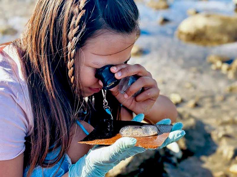 Bahía de los Ángeles